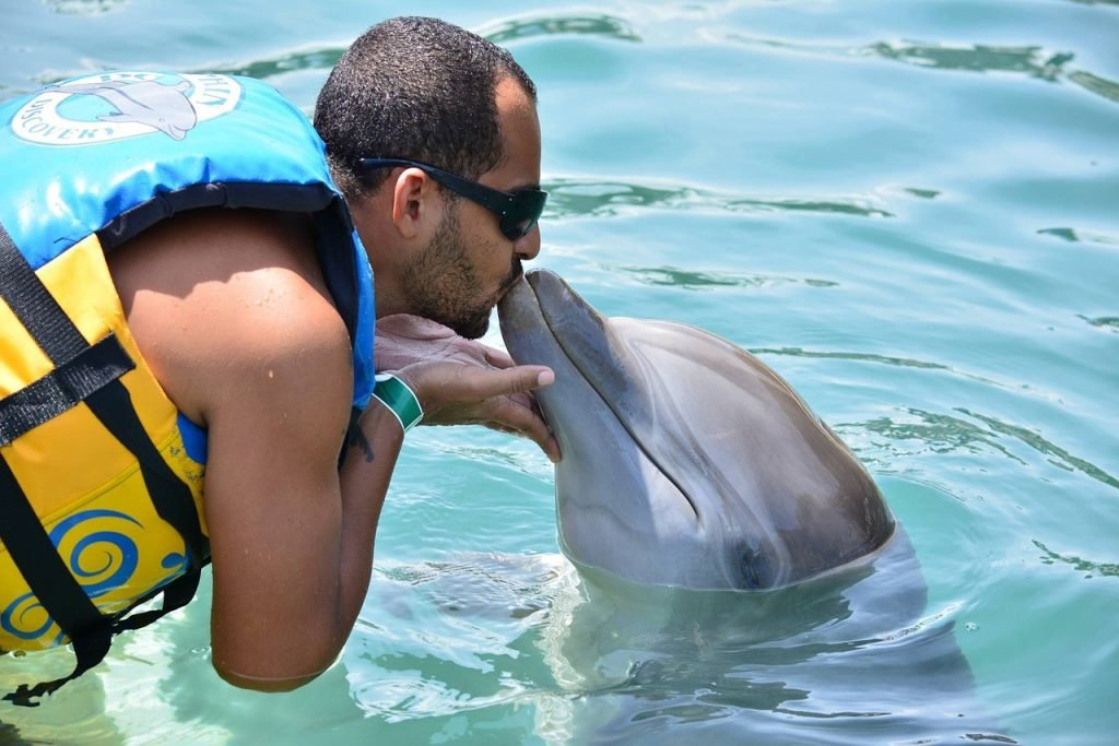 Pool Fence Compliance Castlemaine