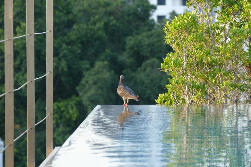 Pool Fence Compliance Jung