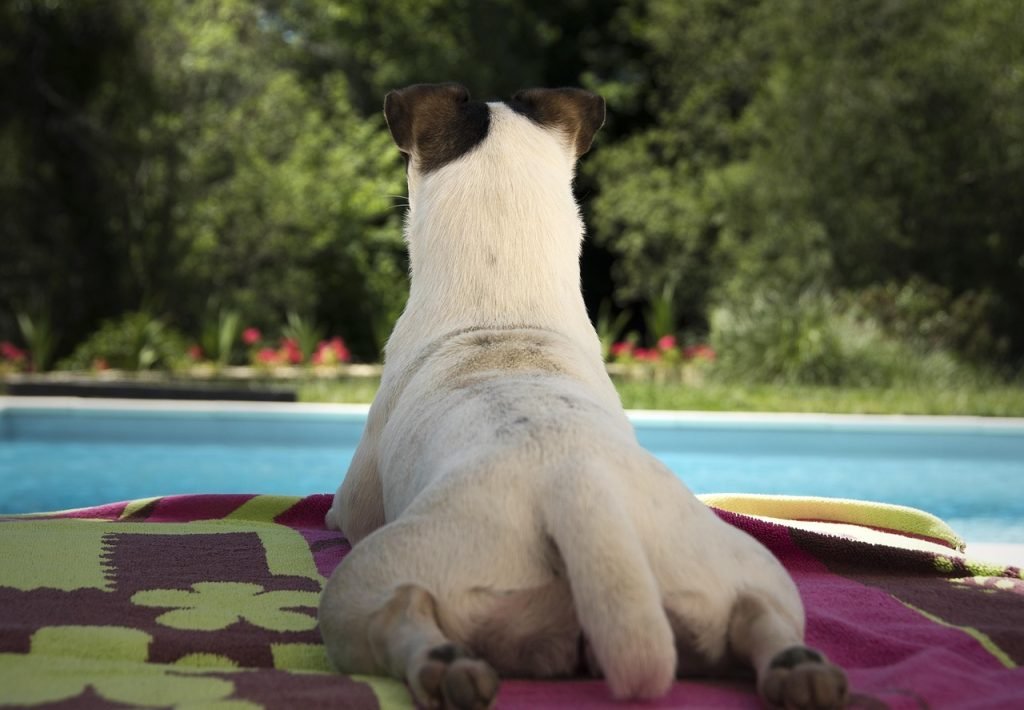 Pool Fence Compliance Marysville
